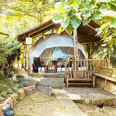 Eco Glamping Treehouses Closest Resort To All Tourist Attractions Balilihan 外观 照片