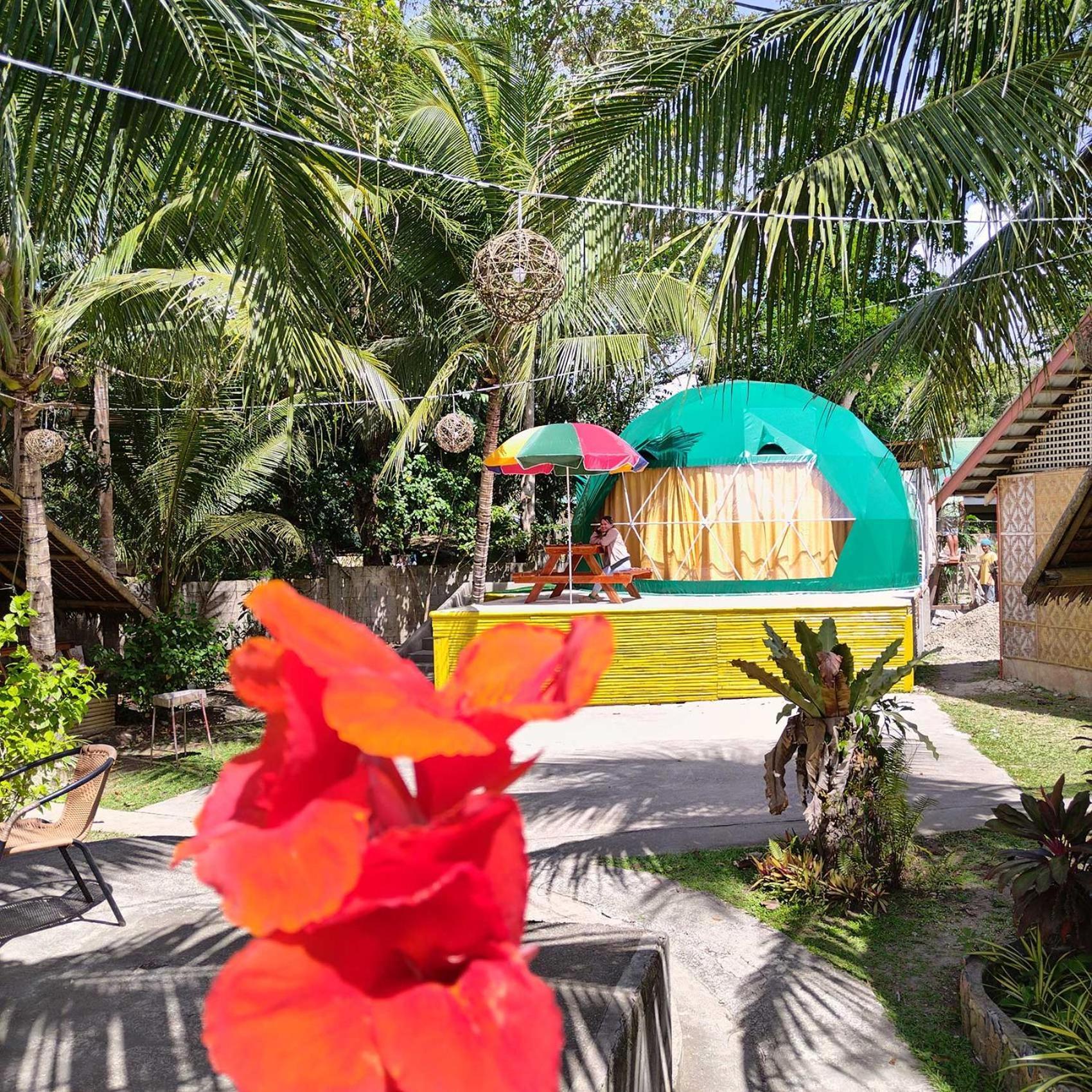Eco Glamping Treehouses Closest Resort To All Tourist Attractions Balilihan 外观 照片